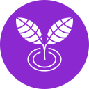 100% Natural Ingredients